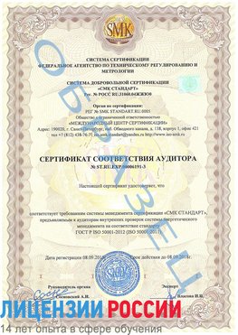 Образец сертификата соответствия аудитора №ST.RU.EXP.00006191-3 Армавир Сертификат ISO 50001